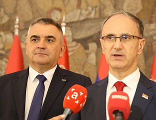 МИНИЋ СА МАЦУТОМ НА ТАРИ