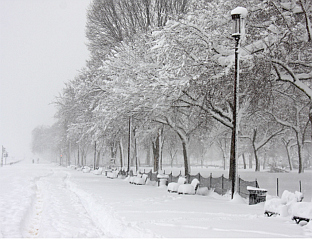 ВИШЕ ОД МИЛИОН ЉУДИ БЕЗ СТРУЈЕ