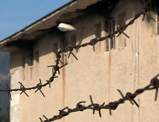 NUŽDIĆ: HUMANITY DIED EVERY DAY IN SILOS CAMP