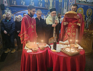 СВЕТИ САВА СРПСКИ МОЈСИЈЕ