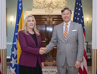 ЦВИЈАНОВИЋЕВА СА ЛАНДАУОМ О ПОЛИТИЧКИМ, ЕКОНОМСКИМ И БЕЗБЈЕДНОСНИМ ПРИЛИКАМА