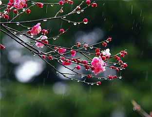 ДАНАС ДО 16 СТЕПЕНИ, ПОСЛИЈЕ ПОДНЕ НАОБЛАЧЕЊЕ СА КИШОМ