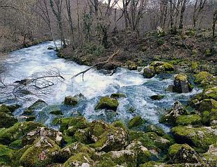 ПЛИВА - НАЈВЕЋИ ИЗВОР ПИЈАЋЕ ВОДЕ У ЕВРОПИ