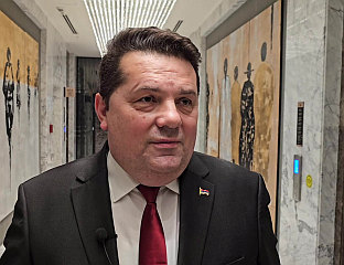 СТЕВАНДИЋ НА КОНФЕРЕНЦИЈИ У МАЂАРСКОЈ