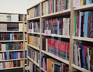 СТЕВАНДИЋ УРУЧИО КЊИГЕ СРПСКОЈ ГИМНАЗИЈИ У БУДИМПЕШТИ