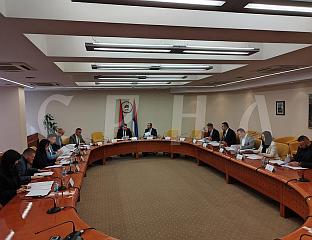 СТЕВАНДИЋ: ПОСЕБНА СЈЕДНИЦА О НАЦРТУ РЕЗОЛУЦИЈЕ 17. МАРТА