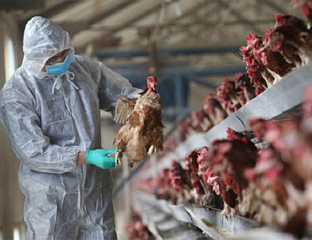 ЛУКИЋ: НЕГАТИВНЕ АНАЛИЗЕ УЗОРАКА СА ЖИВИНАРСКИХ ФАРМИ У ПЕТРОВУ