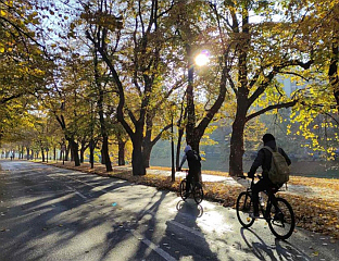 СУНЧАНО У ВЕЋИНИ КРАЈЕВА