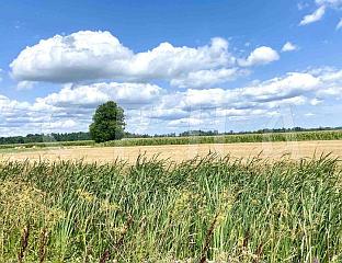 СУТРА ПРЕТЕЖНО СУНЧАНО И  НАTПРОСЈЕЧНО ТОПЛО