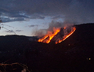 ПОЖАР У ОКОЛИНИ МИЉЕВИНЕ