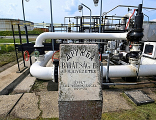 МАЂАРСКИМ СТРУЧЊАЦИМА НИЈЕ ДОЗВОЉЕНО ДА ПРЕГЛЕДАЈУ "ДРУЖБУ"