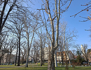 ДАНАС СУНЧАНО УЗ ПОСТЕПЕНУ ОБЛАЧНОСТ