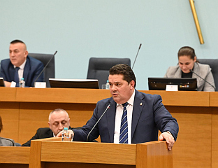 СТЕВАНДИЋ: РЕЗОЛУЦИЈА ВАЖАН ДОКУМЕНТ, ВАЖНО ПОКАЗАТИ ЈЕДИНСТВО