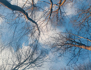 ПРВИ ДАНИ ПРОЉЕЋА ПРОМЈЕНЉИВИ