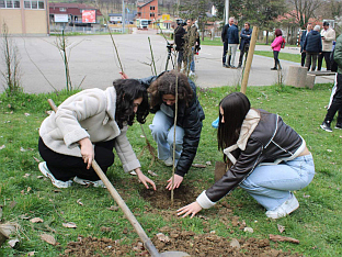ПОВОДОМ ДАНА ШУМА ЗАСАЂЕНО 15 САДНИЦА ЈАСЕНА