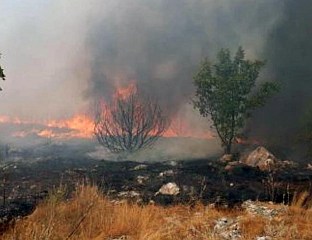 ЕВРОПА НЕСПРЕМНА ЗА СВЕ ВЕЋЕ ШУМСКЕ ПОЖАРЕ