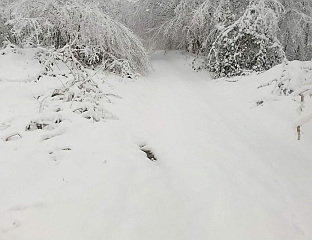БЕЗ СТРУЈЕ ТРИ ДАЛЕКОВОДА, СНИЈЕГ НА ПУТЕВИМА У ВИШИМ ПРЕДЈЕЛИМА