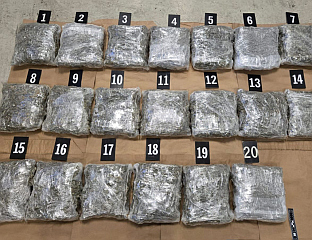 ЗАПЛИЈЕЉЕН 21 КИЛОГРАМ МАРИХУАНЕ