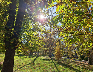 ДАНАС СУНЧАНО И ТОПЛО