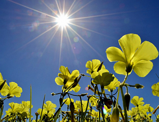 СУТРА ПРЕТЕЖНО СУНЧАНО И ТОПЛО УЗ МАЛУ ОБЛАЧНОСТ