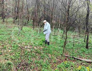 БЕРБОМ СРИЈЕМУША ОБИЉЕЖЕН ДАН ПЛАНЕТЕ ЗЕМЉЕ