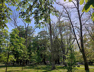 ДАНАС ПРЕТЕЖНО СУНЧАНО И ТОПЛИЈЕ