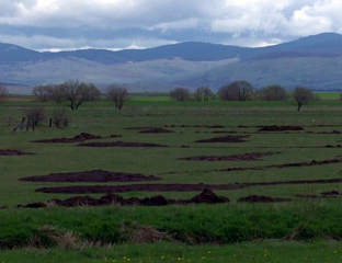 ПАРОХ ШОБИЋ: СВИ ГЛАМОЧАНИ ПРОТИВ ИЗГРАДЊЕ ВОЈНОГ ПОЛИГОНА