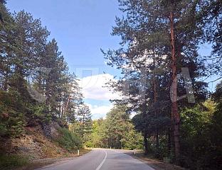 ДАНАС ПРЕТЕЖНО СУНЧАНО И ТОПЛО