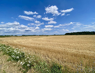 СУТРА СУНЧАНО И ПРИЈАТНО ТОПЛО