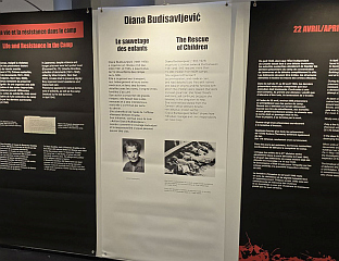 BRANKOVIĆ: EXHIBITION ON JASENOVAC IN THE EUROPEAN PARLIAMENT - SRPSKA'S POLITICAL SUCCESS