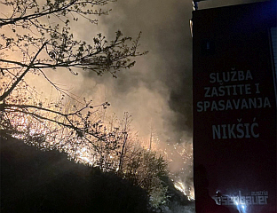 ПОЖАР БУКТИ ВЕЋ ТРЕЋИ ДАН У СЕЛУ БРЕСТИЦЕ, УГРОЖЕНЕ КУЋЕ
