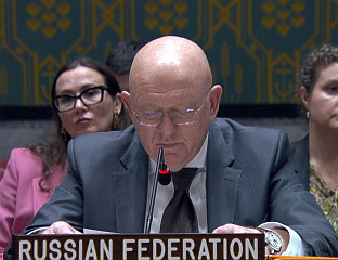 НЕБЕНЗЈА ПОЗВАО НА ОСЛОБАЂАЊЕ РАТКА МЛАДИЋА