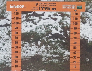 СНИЈЕГ НА КОПАОНИКУ