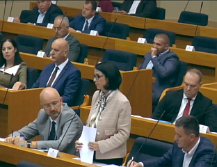 ПЕРИЋ РОМИЋ: ДЕКЛАРАЦИЈОМ НАГЛАСИТИ БОРБУ СРПСКЕ ЗА  ЊЕНЕ ИНТЕРЕСЕ