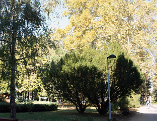 VIPOTNIK: UNIVERSITY CITY - THE MOST SIGNIFICANT PARK AREA IN BANJALUKA
