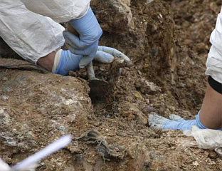 REMAINS OF 49 VICTIMS OF THE VOLHYNIA MASSACRE DISCOVERED