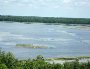 ВАНРЕДНА СИТУАЦИЈА У СОМБОРУ, КУЛИ И ВРБАСУ ЗБОГ НИСКОГ ВОДОСТАЈА ДУНАВА