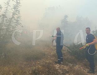 ПОЖАР У ВОЛУЈЦУ