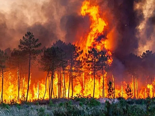 ПРИВЕДЕНО 375 ЉУДИ ЗБОГ СУМЊЕ ДА СУ ИЗАЗВАЛИ ПОЖАРЕ