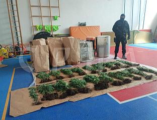 ПРОНАЂЕНО 206 СТАБЉИКА ИНДИЈСКЕ КОНОПЉЕ, АЛИ И КОКАИН, УХАПШЕНО ЈЕДНО ЛИЦЕ