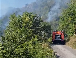 ЈОНЛИЈА: СИTУАЦИЈА НА ПОЖАРИШTИМА ПОД КОНTРОЛОМ