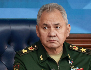 SHOIGU SADDENED BY NEWS OF GENERAL MLADIĆ'S DEATH