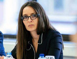 РУНИЋ: ПОЖАР ЛОКАЛИЗОВАН, КУЋЕ НИСУ УГРОЖЕНЕ