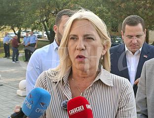 ЦВИЈАНОВИЋ: ИНСТИТУЦИЈЕ СРПСКЕ УЗ ДРИНИЋ