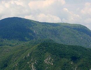 ЂУРЕВИЋ: РАДИЋЕМО НА СТВАРАЊУ УСЛОВА ДА ЗАШТИЋЕНО ПОДРУЧЈЕ БУДЕ ДОСТУПНО ПОСЈЕТИОЦИМА