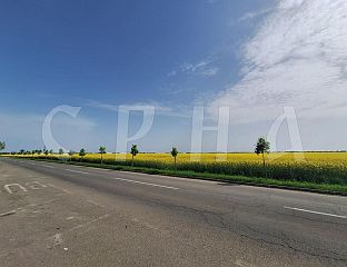 СУТРА СУНЧАНО И ТОПЛИЈЕ