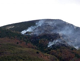 УОЧЕНА НОВА ЖАРИШТА, ВАТРОГАСЦИ ГАСЕ ДАЊУ