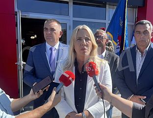 ЦВИЈАНОВИЋ: ХИТНО РИЈЕШИТИ ПРОБЛЕМ КОНЗУЛАРНОГ ОДЈЕЉЕЊА
