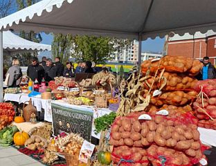 ROGATICA POTATO AND ROMANIJA KAJMAK FAIR ORGANIZED FOR TOMORROW