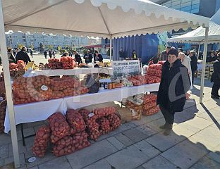 "ДАН РОГАТИЧКОГ КРОМПИРА И РОМАНИЈСКОГ СКОРУПА" ОКУПИО 30 ИЗЛАГАЧА